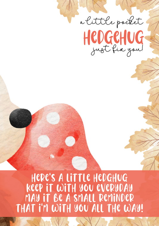 Hedgehugs Wish bracelet/Pocket Hug Pack